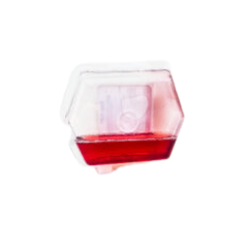 Commercial Fruit Fly Traps 12-Pack With 3 Holders