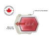 Commercial Fruit Fly Traps - 12 Pack With 3 Holders - Image 2