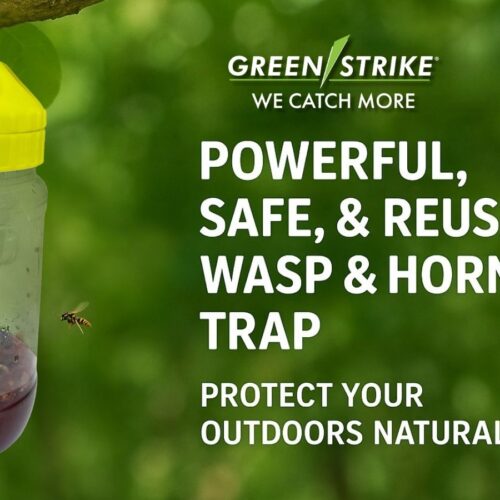 Wasp & Hornet Trap with Lure (32 oz.) | Made in Canada