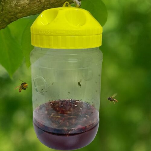 Wasp & Hornet Trap with Lure (32 oz.) | Made in Canada