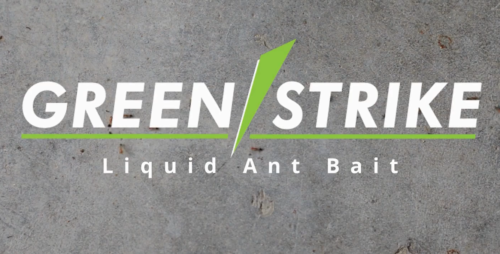 GREENSTRIKE LIQUID ANT BAIT FOR ANT TRAP HEADER