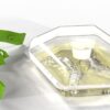 GREENSTRIKE Ant Trap for Indoor and Outdoor Use