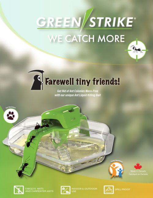 Ant Trap Banner - Farewell Tiny Friends