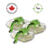 Ant Trap for Indoor and Outdoor Use | Made in Canada