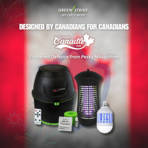 Read more about the article Mosquito-Free Canada Day: A Canadian Solution for the Long Weekend