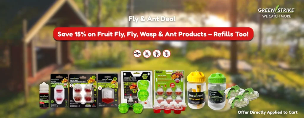 15% off on Fly, Fruit fly, wasp and ant products